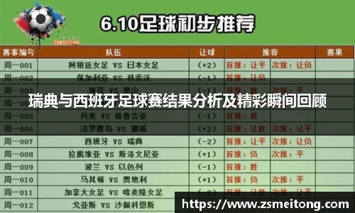 瑞典与西班牙足球赛结果分析及精彩瞬间回顾